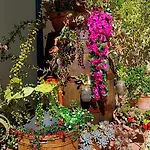 Rosangela Bed & Breakfast