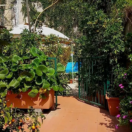 Rosangela تاورمينا