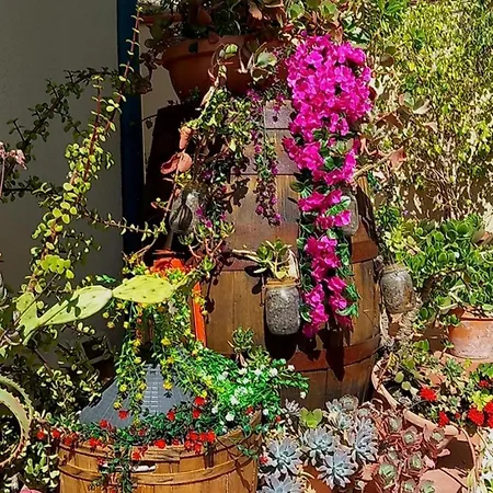 Rosangela فندق مبيت وإفطار