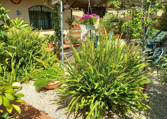 Rosangela 3*