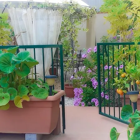 Rosangela